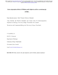 Gene Expression Effects of Lithium and Valproic Acid in a Serotonergic Cell Line