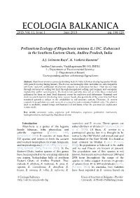 Pollination Ecology of Rhynchosia Minima (L.) DC. (Fabaceae)In The