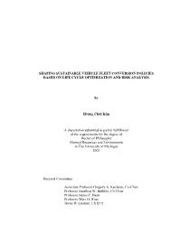 Shaping Sustainable Vehicle Fleet Conversion Policies Based on Life Cycle Optimization and Risk Analysis