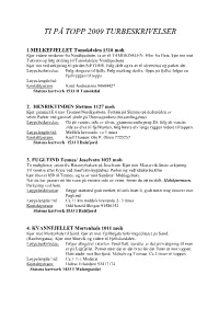 FYSAK LØYPER Balsfjord Kommune Sommeren 2007