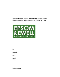 Audit of Open Space, Sport and Recreation Facilities and Assessment of Local Needs