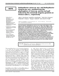 Rathayibacter Caricis Sp. Nov. and Rathayibacter Festucae Sp. Nov., Isolated from the Phyllosphere of Carex Sp. and the Leaf