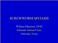Screwworm Myiasis
