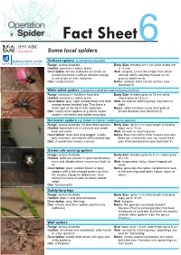 Some Local Australian Spiders • Fact Sheet