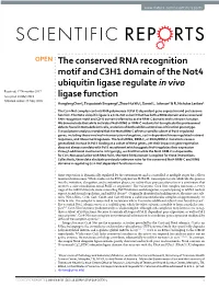The Conserved RNA Recognition Motif and C3H1 Domain of the Not4