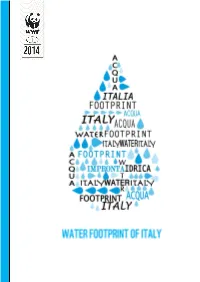 Wf English Version Final 1.Pdf