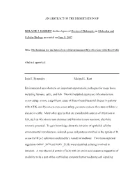 An Abstract of the Dissertation of Melanie J. Harriff