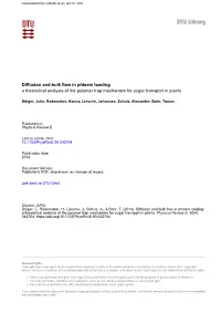 Diffusion and Bulk Flow in Phloem Loading a Theoretical Analysis of the Polymer Trap Mechanism for Sugar Transport in Plants