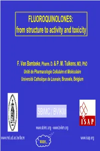 FLUOROQUINOLONES: from Structure to Activity and Toxicity