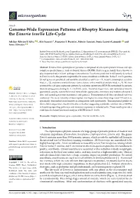 Genome-Wide Expression Patterns of Rhoptry Kinases During the Eimeria Tenella Life-Cycle