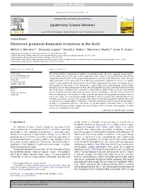 Pleistocene Graminoid-Dominated Ecosystems in the Arctic