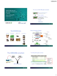 The GENCODE Consortium the GENCODE Update Trackhub