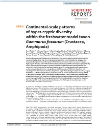 Continental-Scale Patterns of Hyper-Cryptic Diversity