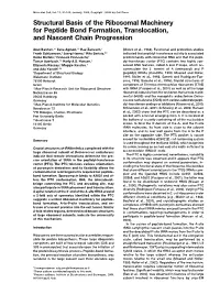 Structural Basis of the Ribosomal Machinery for Peptide Bond Formation, Translocation, and Nascent Chain Progression
