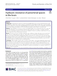 Hydraulic Resistance of Perivascular Spaces in the Brain