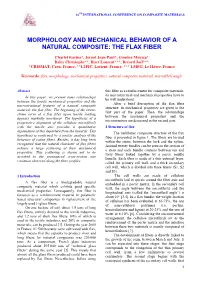 Morphology and Mechanical Behavior of a Natural Composite