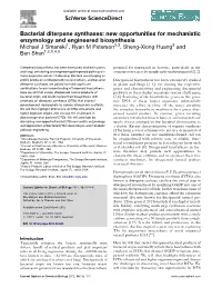 Bacterial Diterpene Synthases: New Opportunities for Mechanistic