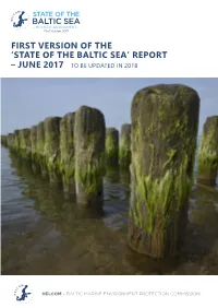 First Version of the 'State of the Baltic Seaʼ Report