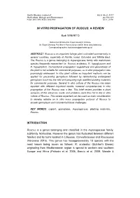 In Vitro Propagation of Ruscus: a Review