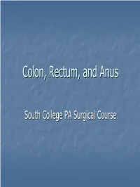 Colon, Rectum, and Anus