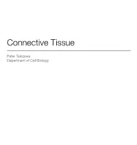 Connective Tissue