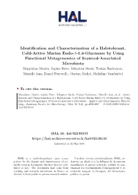 Identification and Characterization of a Halotolerant, Cold-Active Marine Endo–1,4-Glucanase by Using Functional Metagenomics