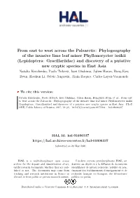 Phylogeography of the Invasive Lime Leaf Miner Phyllonorycter Issikii