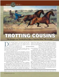 “Relationship” Between the Morgan and the Standardbred. This Comes A