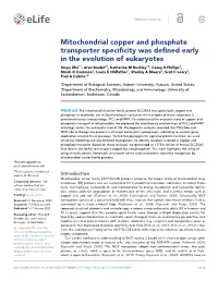 Mitochondrial Copper and Phosphate Transporter Specificity Was Defined
