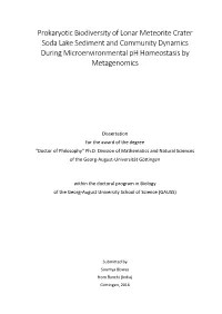 Prokaryotic Biodiversity of Lonar Meteorite Crater Soda Lake Sediment and Community Dynamics During Microenvironmental Ph Homeostasis by Metagenomics