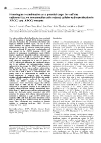 Homologous Recombination As a Potential Target for Ca€Eine
