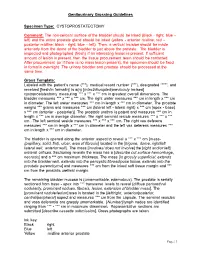 Genitourinary Grossing Guidelines Specimen Type