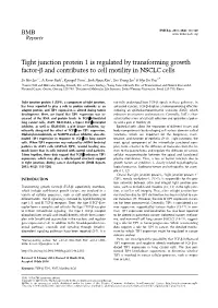 Tight Junction Protein 1 Is Regulated by Transforming Growth Factor-Β and Contributes to Cell Motility in NSCLC Cells