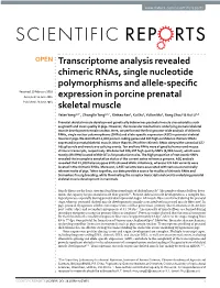 Transcriptome Analysis Revealed Chimeric Rnas, Single Nucleotide Polymorphisms and Allele-Specific Expression in Porcine Prenatal Skeletal Muscle