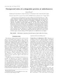 Unexpected Roles of a Shugoshin Protein at Subtelomeres