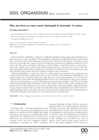 Why Are There So Many Exotic Springtails in Australia? a Review