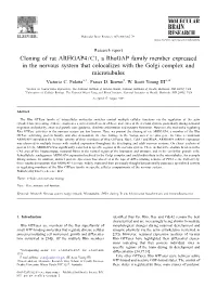 C Loning of Rat ARHGAP4/C1, a Rhogap Family Member Expressed in the Nervous System That Colocalizes with the Golgi Complex and Microtubules Victoria C