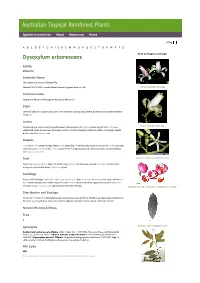 Dysoxylum Arborescens Click on Images to Enlarge