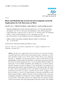 Implications for Life Detection on Mars