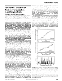 Laminar Fine Structure of Frequency Organization in Auditory Midbrain