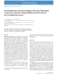 2012 Second Harmonic Generation Imaging of the Deep Shade Plant