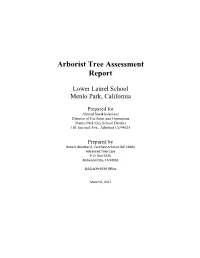Arborist Tree Assessment Report