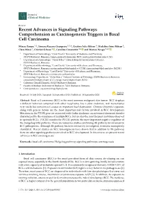 Recent Advances in Signaling Pathways Comprehension As Carcinogenesis Triggers in Basal Cell Carcinoma