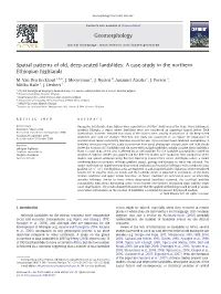 Spatial Patterns of Old, Deep-Seated Landslides: a Case-Study in the Northern Ethiopian Highlands