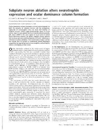 Subplate Neuron Ablation Alters Neurotrophin Expression and Ocular Dominance Column Formation