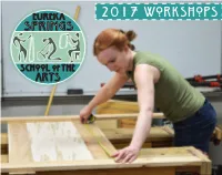 2017 Workshops Springs