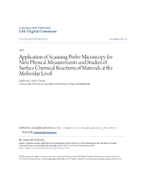 Application of Scanning Probe Microscopy for New Physical