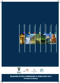 Relazione Attività Commissione Di Studio Expo