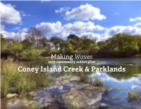 2017 Community Action Plan for Coney Island Creek & Parklands