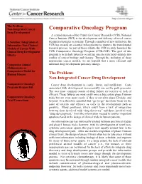 Comparative Oncology Program